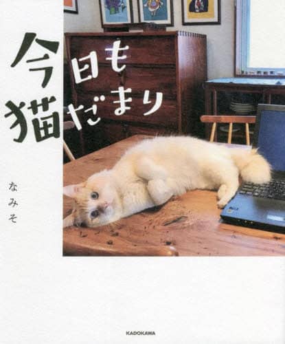 画像がみつかりません