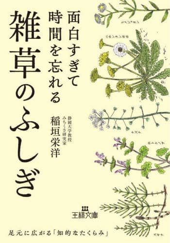 草のふしぎ大研究 自然はこんなにおもしろい/ＰＨＰ研究所/稲垣栄洋（大型本） 草のふしぎ大研究 | 稲垣 栄洋 |本 | 通販 | Amazon