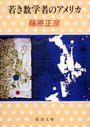 若き数学者のアメリカ