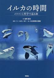 イルカの時間　イラストと科学で巡る旅