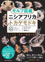 モルフ図鑑ニシアフリカトカゲモドキ　心ときめく体色や模様の魅力