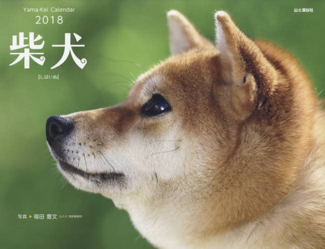 カレンダー　’１８　柴犬
