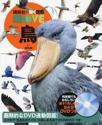 鳥