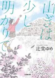 山ぎは少し明かりて