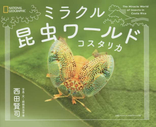 ミラクル昆虫ワールドコスタリカ