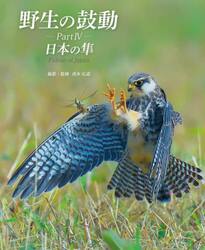 野生の鼓動　Ｐａｒｔ４