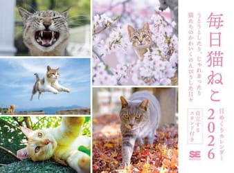 毎日猫ねこ日めくりカレンダー２０２６