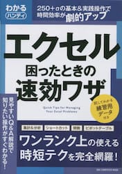 エクセル困ったときの速効ワザ　わかるハンディ