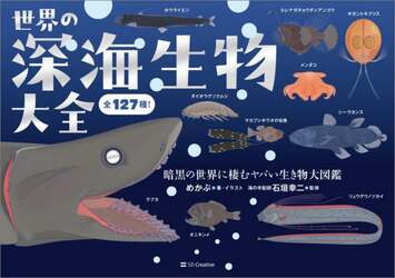 商品詳細画像