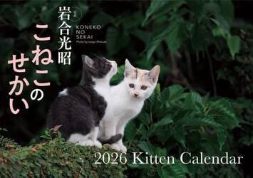Ｓ１７　こねこのせかい
