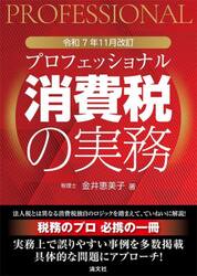 プロフェッショナル消費税の実務　令和７年１１月改訂