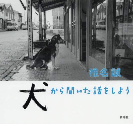 犬から聞いた話をしよう