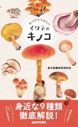 商品詳細画像