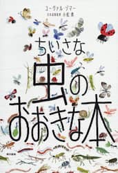 クリックして画像を拡大