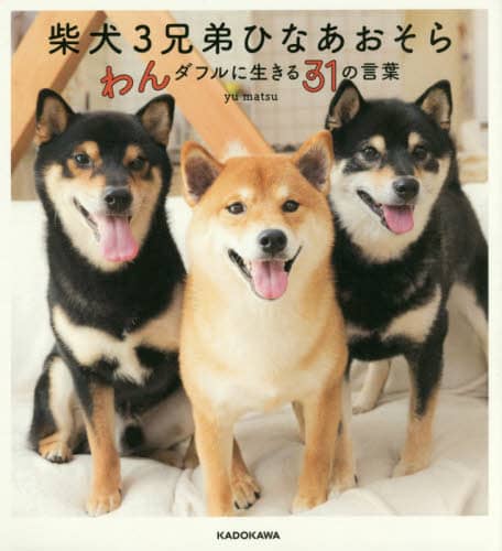 柴犬３兄弟ひなあおそら　わんダフルに生きる３１の言葉