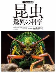 商品詳細画像