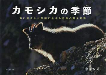 商品詳細画像