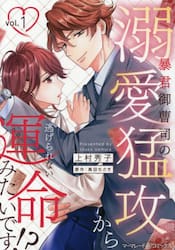 暴君御曹司の溺愛猛攻から逃げられない運命みたいです！？　１