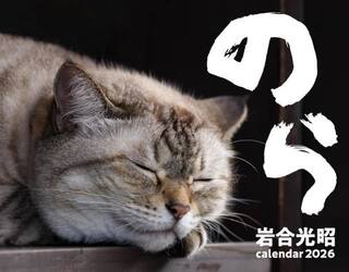 ２０２６猫カレンダーのら
