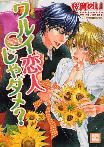 ワルイコトシタイ シリーズ 14冊セット 花音コミックス 桜賀めい (ワルイコトシタイ) Amazon.co.jp: ワルイコトシタイ シリーズ 14冊セット 【花音