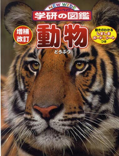 動物