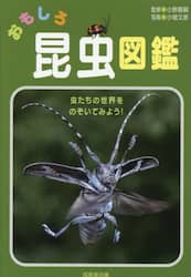 商品詳細画像
