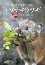 エゾナキウサギ　鳴き声できずなを結ぶ