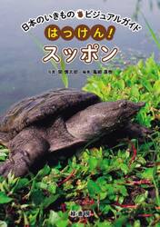 はっけん！スッポン
