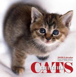 ２０２６カレンダーキャッツコレクション