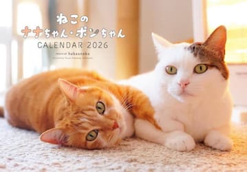 ２０２６ねこのナナちゃん・ポンちゃんカレ