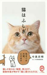 クリックして画像を拡大