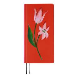 ＴＯＬＩＧＨＴ　Ａ　Ｂｒｉｇｈｔ　Ｙｅａ