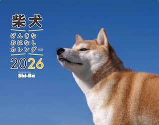 商品詳細画像