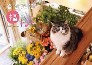 岩合光昭福ねこカレンダー２０２６