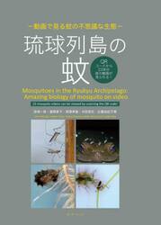 琉球列島の蚊