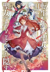 転生した大聖女は、聖女であることをひた隠す　１１