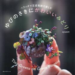 ベランダで豆盆栽鉢で楽しむゆびのさきにかわいいみどり