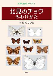 北見のチョウみわけかた