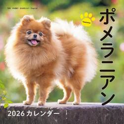 ２０２６カレンダーポメラニアン