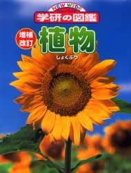 植物