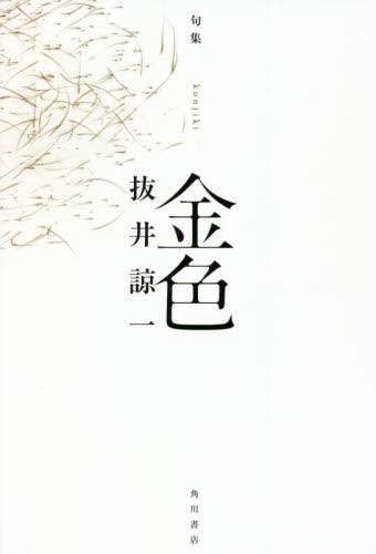 画像がみつかりません