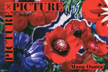 ＰＩＣＴＵＲＥ×ＰＩＣＴＵＲＥ　ＣＨＡＯＳ　ＧＡＲＤＥＮ