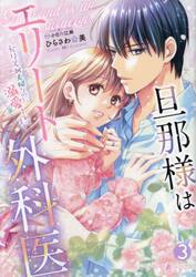 旦那様はエリート外科医　かりそめ夫婦なのに溺愛されてます　３