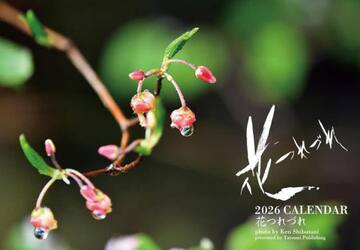 ２０２６カレンダー　花つれづれ