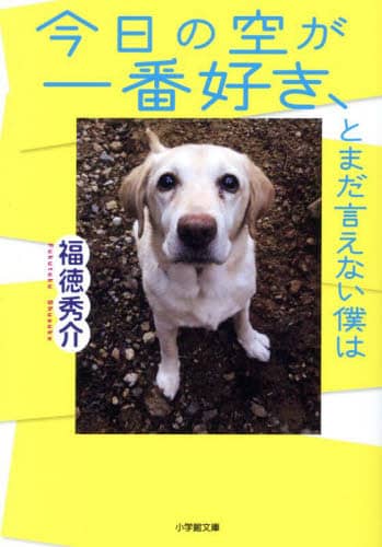 【PSA10】ずっと平和な日常を　かなめ&テレサ　SEC ファンタジア文庫 富士見ファンタジア文庫vol.2 将来を誓い合った仲リアスSP PSA10
