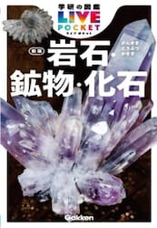 岩石・鉱物・化石
