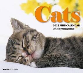 ２０２６ミニカレンダー　キャッツ