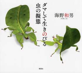 商品詳細画像