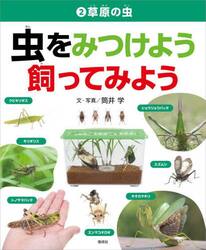 虫をみつけよう飼ってみよう　２