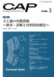 ＣＡＰ　３８１